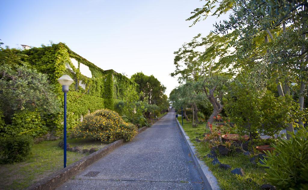 Hotel Terme Alexander Ischia Exteriér fotografie